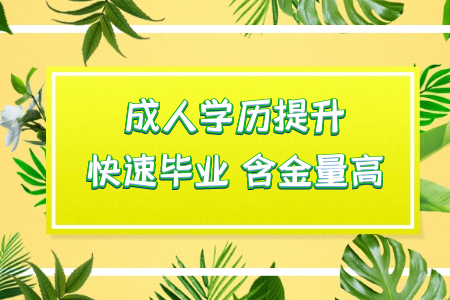 ?？粕ㄟ^統(tǒng)考專升本讀本科然后考研可行嗎