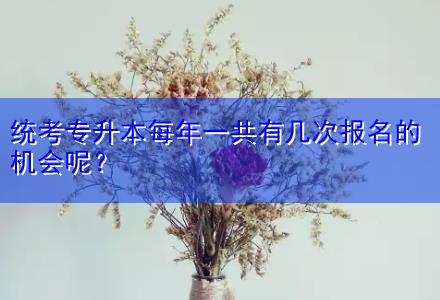 統(tǒng)考專升本每年一共有幾次報名的機會呢？