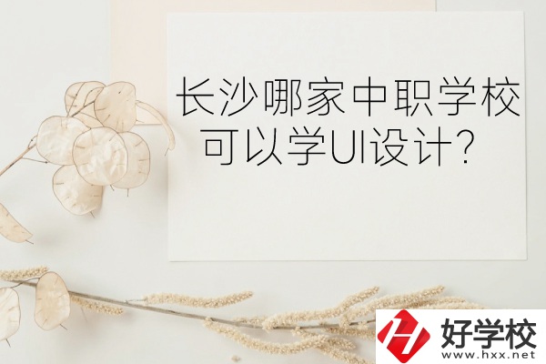 長(zhǎng)沙哪家中職學(xué)校可以學(xué)UI設(shè)計(jì)？