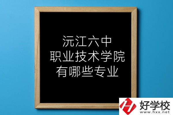 湖南沅江六中職業(yè)技術(shù)學(xué)院有哪些專業(yè)？