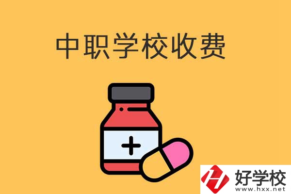 衡陽的中職學(xué)校怎么收費的？費用貴不貴？