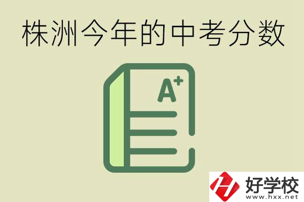 株洲今年中考多少分能上高中？沒(méi)考上有什么選擇？