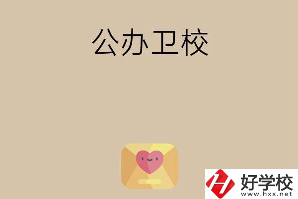 想在湖南上公辦衛(wèi)校？這所學(xué)校值得一看