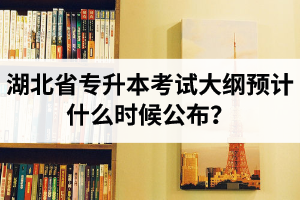 湖北省專升本考試大綱預(yù)計什么時候公布？現(xiàn)階段怎么備考比較好？