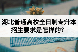 湖北普通高校全日制專升本招生要求是怎樣的？