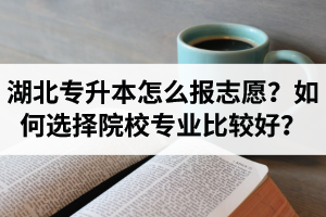 湖北省專升本怎么報(bào)志愿？如何選擇填報(bào)院校專業(yè)比較好？