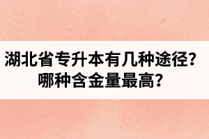 湖北省專升本有幾種途徑？哪種含金量最高？