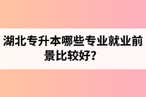 湖北專升本哪些專業(yè)就業(yè)前景比較好？