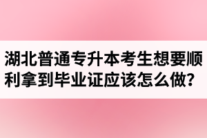 湖北普通專升本考生想要順利拿到畢業(yè)證應該怎么做？