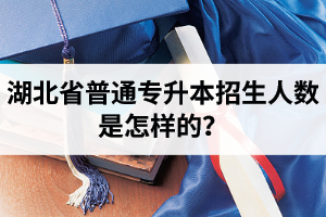 湖北省普通專升本招生人數是怎樣的？