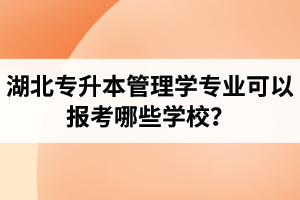 湖北專升本管理學(xué)專業(yè)可以報(bào)考哪些學(xué)校？屬于管理學(xué)的專業(yè)有哪些？