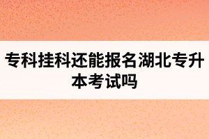 ?？茠炜七€能報(bào)名湖北專升本考試嗎？在哪里能獲取最新的專升本資訊？