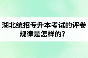 湖北統(tǒng)招專升本考試的評(píng)卷規(guī)律是怎樣的？怎么避免丟失細(xì)節(jié)分？