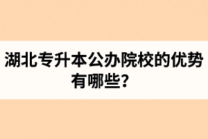 湖北專升本公辦院校的優(yōu)勢有哪些？為什么大家都想報公辦學校？