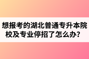 想報(bào)考的湖北普通專升本院校及專業(yè)停招了怎么辦？