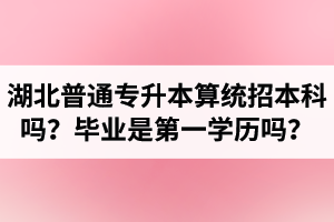 湖北普通專升本算統(tǒng)招本科嗎？專升本學歷是第一學歷嗎？