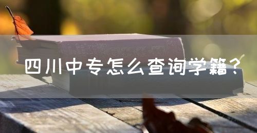 四川中專怎么查詢學(xué)籍？(圖1)