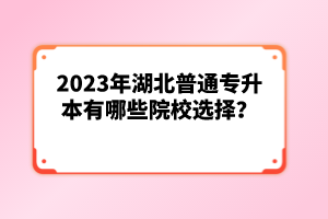 2023年湖北普通專升本有哪些院校選擇？