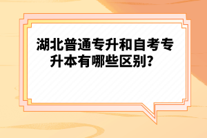 湖北普通專升和自考專升本有哪些區(qū)別？