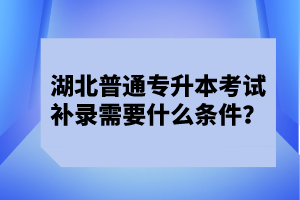 湖北普通專升本考試補(bǔ)錄需要什么條件？