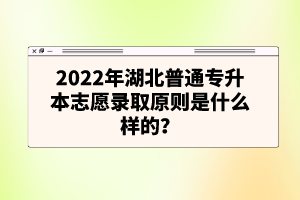 2022年湖北普通專升本志愿錄取原則是什么樣的？