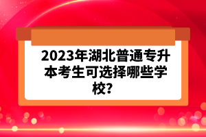 2023年湖北普通專升本考生可選擇哪些學(xué)校？