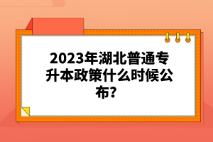 2023年湖北普通專升本政策什么時(shí)候公布？