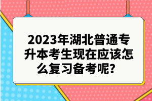 2023年湖北普通專升本考生現(xiàn)在應該怎么復習備考呢？