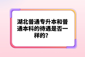 湖北普通專(zhuān)升本和普通本科的待遇是否一樣的？