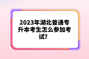 2023年湖北普通專升本考生怎么參加考試？