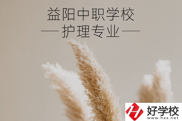 益陽(yáng)護(hù)理專業(yè)的中職學(xué)校有哪些？需要哪些要求？