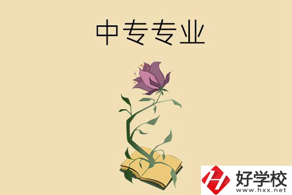 在張家界讀中專，學什么專業(yè)比較好？