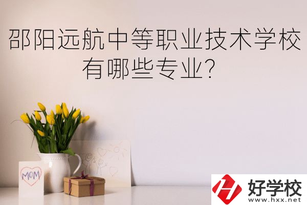 邵陽遠(yuǎn)航中等職業(yè)技術(shù)學(xué)校有哪些專業(yè)？