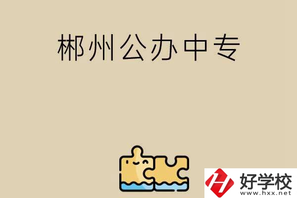 郴州公辦中專有哪些開(kāi)設(shè)了電子商務(wù)專業(yè)？