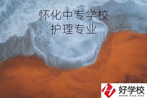 懷化有學(xué)護(hù)理專業(yè)的中專學(xué)校嗎？