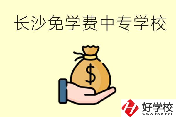 長(zhǎng)沙有哪些中專學(xué)校三年免學(xué)費(fèi)？不需要任何費(fèi)用了嗎？