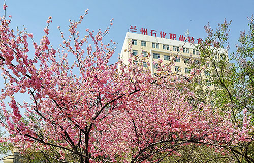 蘭州石化職業(yè)技術學院