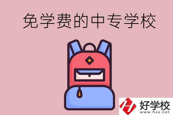 郴州市的中專哪些是免學(xué)費(fèi)的？