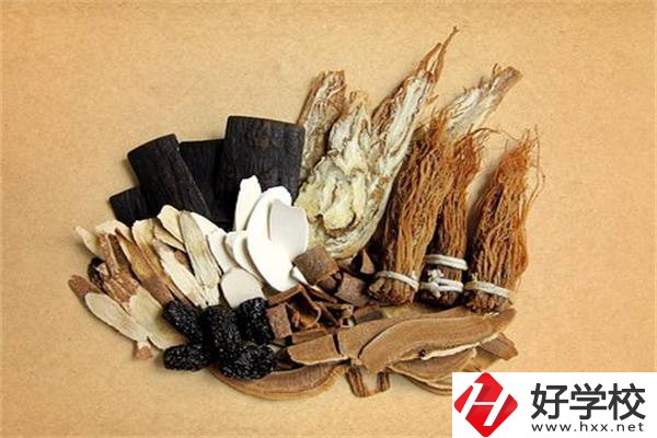 在湘西學(xué)中草藥栽培怎么樣？開設(shè)此專業(yè)的學(xué)校有哪些？