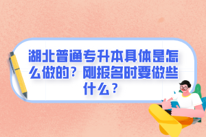 湖北普通專升本具體是怎么做的？剛報名時要做些什么？