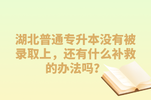 湖北普通專升本沒有被錄取上，還有什么補救的辦法嗎？