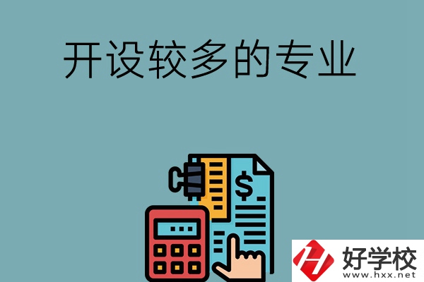 湖南的中職學(xué)校開設(shè)較多的專業(yè)是哪些？