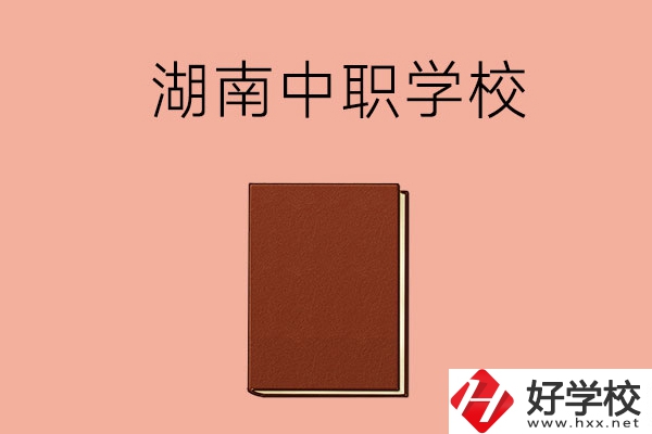 湖南有哪些就業(yè)率比較高的中職學(xué)校？