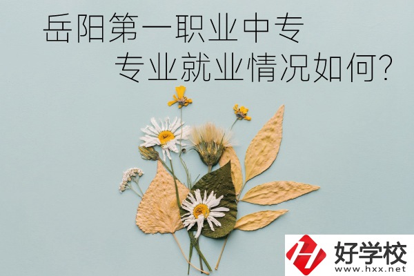 岳陽第一職業(yè)中專有哪些專業(yè)?就業(yè)情況如何?