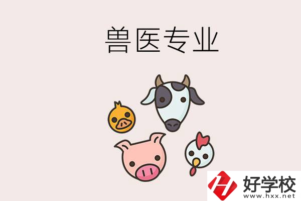 湖南哪些職校能學獸醫(yī)專業(yè)？學獸醫(yī)前景怎么樣？