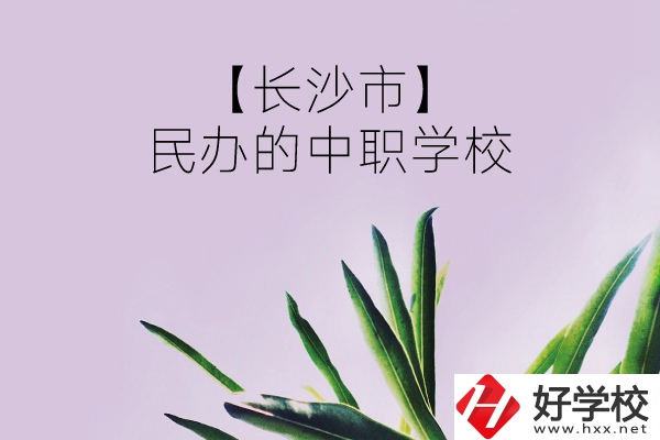 長沙市有哪些民辦的中職學(xué)校？