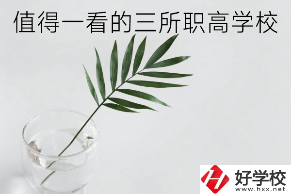 湖南有什么好的職高學(xué)校？這3所學(xué)校值得一看！