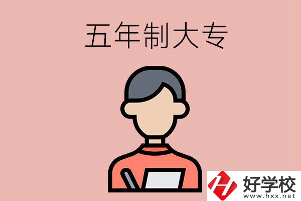 長(zhǎng)沙比較容易進(jìn)的五年制大專有哪些？