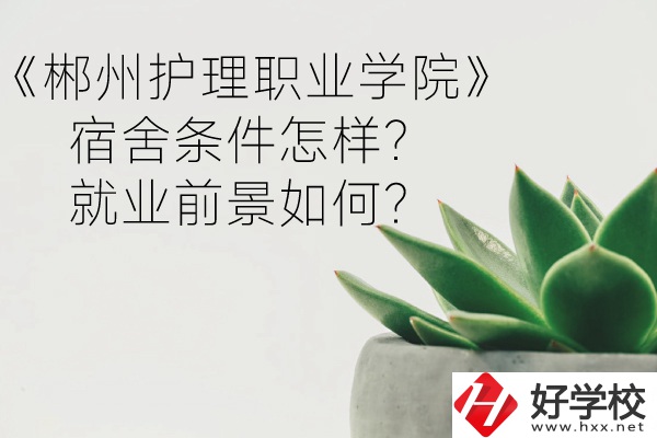 郴州護理職業(yè)學(xué)院宿舍條件怎樣？就業(yè)前景如何？