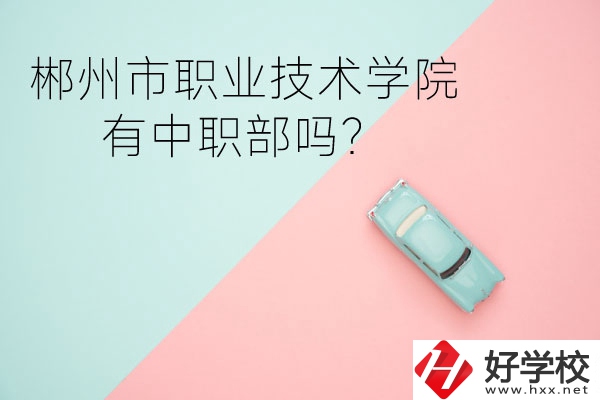 郴州市職業(yè)技術學院有中職部嗎？